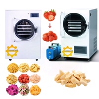 Lyophilisateur de qualité supérieure pour aliments, machine de séchage par lyophilisation, prix pour la maison avec pompe à vide sans huile, en stock aux États-Unis