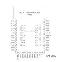 Module sans fil Holyiot NRF52840 BLE 5.3, récepteur RF 2.4GHz, module balise BLE pour l'automatisation domestique IoT, module Bluetooth