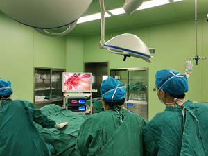 Système de télescope laparoscopique Full HD <span class=keywords><strong>SHREK</strong></span> Medical, tour de laparoscopie pour la chirurgie thoracique - Product Image 6