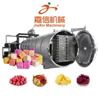 Lyophilisateur Commercial Intelligent à Vide pour Chips de Fraise, Banane et Pomme