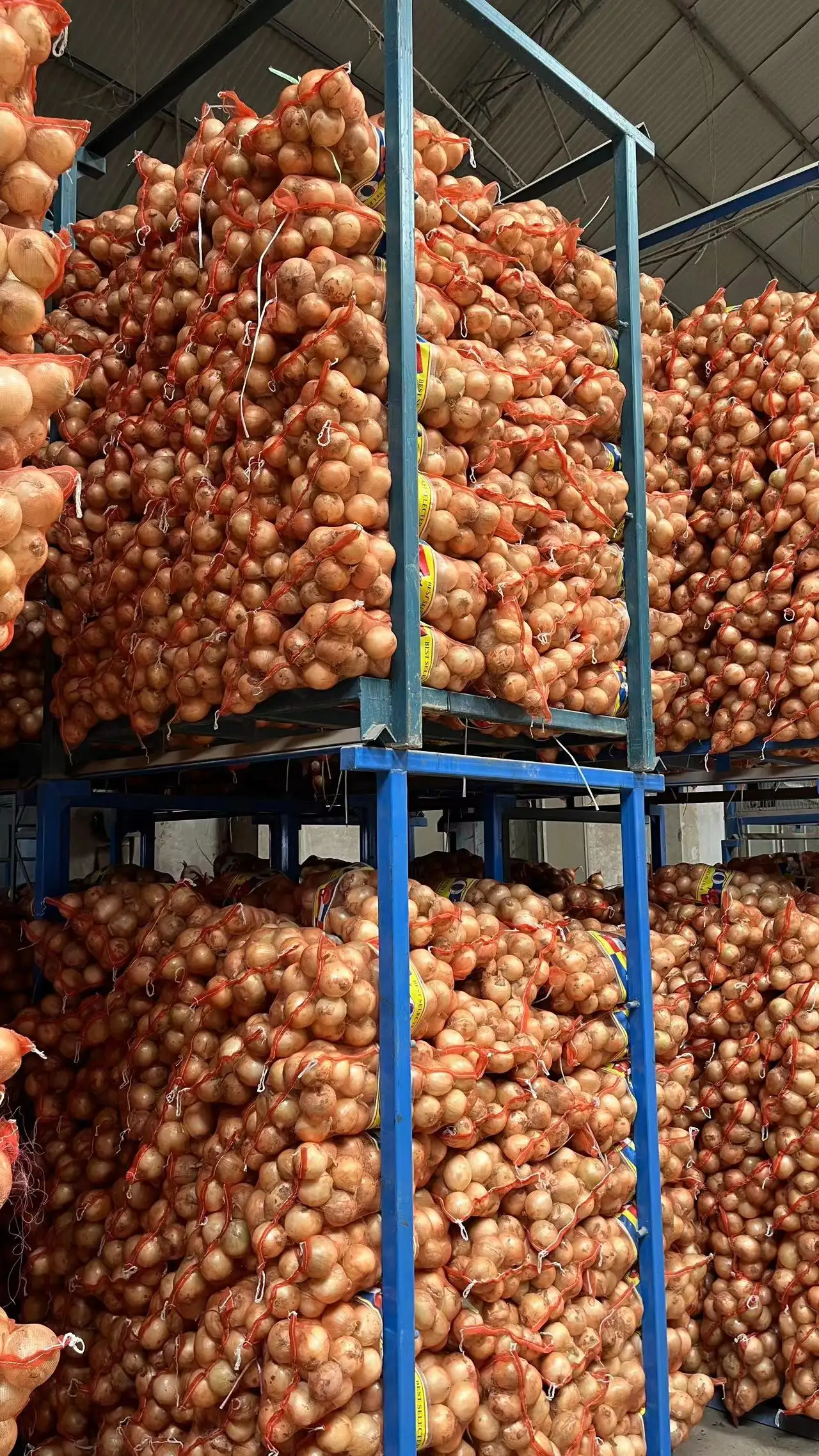 2023 nouvelle saison légumes chinois frais rouge jaune blanc oignon pelé prix par tonne de Chine oignons frais d'Inde acheteurs en vrac