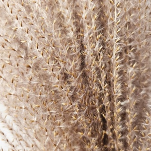 M-1152 Hot Bán Tự Nhiên Colour Hoa Khô Bulrush Nhà Máy <span class=keywords><strong>Miscanthus</strong></span> Cỏ Cho Đám Cưới - Product Image 5