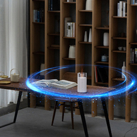 Humidificateur de diffuseur d'arômes de flamme d'huile personnalisé Parfum d'ambiance de feu 3d pour la maison