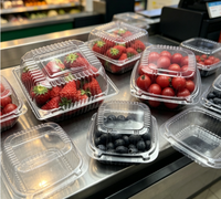 Barquette en plastique pour fruits frais (fraises, myrtilles, cerises, tomates, raisins) – Présentoir de supermarché pour la vente au détail