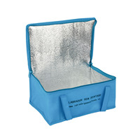 2026 2024 Tiktok vente chaude nouveau sac isotherme Non tissé promotionnel doublure en feuille d'aluminium isolation thermique étanche Durable