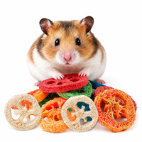 Éponge de loofah pour animaux de compagnie – Jouets à mâcher pour le nettoyage dentaire – Sûrs pour les hamsters, chinchillas, lapins, bichons frisés – Coloration de qualité alimentaire