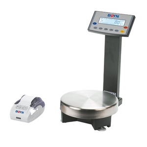 BLS-P Series [0.1g] Paint-mixing <strong>Balances</strong> - Product Image 2