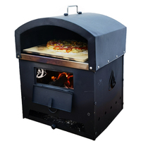 Four à pizza portable multifonctionnel au charbon de bois pour le camping, barbecue extérieur