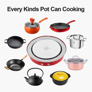 Cuisinière à induction 12V 24V DC alimentée par batterie, compatible solaire, portable, pour camion, <span class=keywords><strong>camping</strong></span>, <span class=keywords><strong>camping</strong></span>-car - Product Image 3