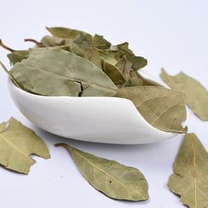 Feuilles de sauge séchées, feuilles de <span class=keywords><strong>laurier</strong></span> pour la production, feuilles de <span class=keywords><strong>laurier</strong></span> pour les épices - Product Image 3