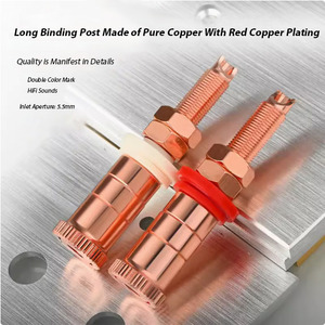Plaque cuivre rouge OEM <span class=keywords><strong>Prise</strong></span> haut-parleur Adaptateur femelle Borne audio et vidéo Borne de liaison Borne <span class=keywords><strong>HIFI</strong></span> <span class=keywords><strong>Prise</strong></span> - Product Image 4
