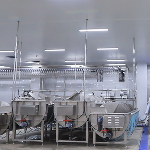 Equipo de matadero de patos Halal Raniche Máquina de preparación de patos Línea de producción automática de matadero de patos - Product Image 6