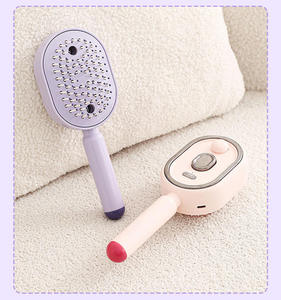 Peigne de massage électrique à pulvérisation de haute qualité 2026 avec brosse à coussin d'air électrique LED et brosse à cheveux électrique à pulvérisation - Product Image 1