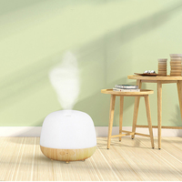 Diffuseur d'huiles essentielles intelligent à ultrasons avec lumière LED miniature personnalisée pour la maison, l'hôtel