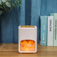Diffuseur d'arômes en sel de l'Himalaya électrique en plastique avec logo personnalisé, nouveau design 2025, brûleur d'encens LED, lampe en sel, pour la maison