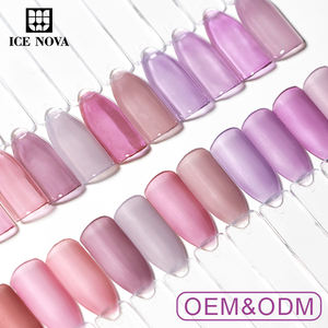 1kg Gel Polish <span class=keywords><strong>Violet</strong></span> Cristallin Translucide Soak Off UV LED pour Nail Art, Kit de Démarrage Manucure Salon DIY à Domicile - Product Image 1