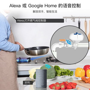 Smart Home Water Valve With App Control Battery Powered 6MPa Pressure For Zigbee WiFi <b>System</b> - Product Image 3