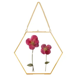 Handgefertigte kleine sechseckige doppelglas gepresster Blumenrahmen Messing schwimmende Bilderrahmen für getrocknete Blumen Heim Wanddekoration