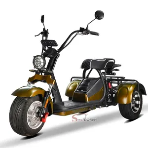 4000w electric scooter 2*60v 20ah battery three wheel motorcycle for Adult citycoco 45km/h motorcycle electric