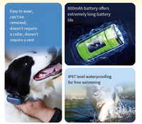 Mini Traceur GPS 4G IP67 en Plastique pour Animaux de Compagnie et Enfants, Suivi en Temps Réel, Anti-Perte pour Petits Animaux, Chiens et Chats, Application Gratuite