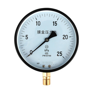 เกจวัดแรงดันไดอะแฟรม Zhejiang Yuanhuang Ye150 ขนาด 150 มม. 0-100Kpa แบบเกลียวเชื่อมต่อ เกจวัดแรงดันขนาดเล็ก - Product Image 2