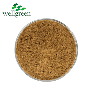 Wellgreen Chiết Xuất Thảo Dược Xà Phòng Berry Xà Phòng <span class=keywords><strong>Saponins</strong></span> Chiết Xuất 10:1 Bột - Product Image 2