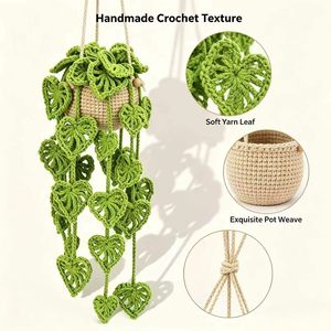 Kit de crochet <span class=keywords><strong>pour</strong></span> plantes <span class=keywords><strong>en</strong></span> pot avec un ensemble complet d'accessoires de crochet, tutoriels vidéo <span class=keywords><strong>en</strong></span> <span class=keywords><strong>anglais</strong></span> <span class=keywords><strong>pour</strong></span> <span class=keywords><strong>débutants</strong></span>, comme décoration d'intérieur ou cadeau DIY - Product Image 4