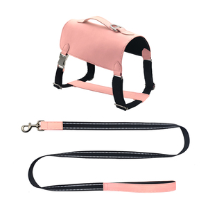 <span class=keywords><strong>2026</strong></span> Neues Design Personalisiertes PU-Tierhalsband und Leinen-Set mit Einfarbigem Druck und Zierbändern - Product Image 3