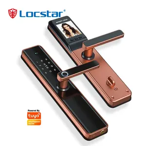 Locstar Tuya工場価格フィンガープリントデジタルデッドセルフロックとカメラスマートドアロック