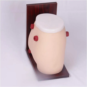 แบบจำลองการดูแลวิทยาศาสตร์ทางการแพทย์แบบ colostomy เครื่องจำลอง <span class=keywords><strong>ileostomy</strong></span> สำหรับการเรียนการสอน - Product Image 3