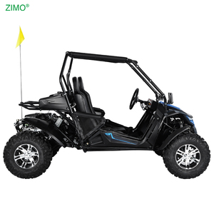 2025 điện/kéo 4 đột quỵ 150cc 200cc dành cho người lớn Xăng đi karts Racing Dune Buggy - Product Image 4