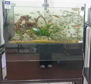 800*400*800 cm großes, ab Werk erhältliches Wohnzimmer-Aquarium mit integriertem Bodenfilter und integriertem Tank für tropische Fische, Goldfische und andere Aquarienfische. - Product Image 6