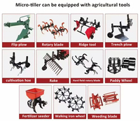Microtiller de mano multifuncional, siembra de zanjas, deshierbe y fertilización, Mini Tractor, cultivador de doble cadena