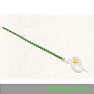 Everongflower real Touch <span class=keywords><strong>Calla</strong></span> Lily decoración <span class=keywords><strong>calla</strong></span> para la decoración de la boda decoración del hogar - Product Image 4