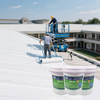 Caoutchouc de silicone liquide, caoutchouc liquide, revêtement imperméable pour toiture/membrane imperméable