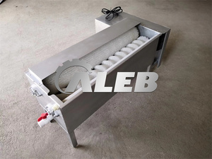 Machine de nettoyage d'œufs en acier inoxydable à haute efficacité, fonctionnement automatique, type brosse, sans blocage, sans bris, fiable - Product Image 6