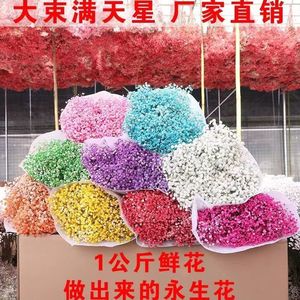 Bouquet de fleurs séchées de gypsophile (Xi Peptide) violet clair 5 kg pour les vendeurs de rue - Product Image 5