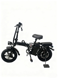 Nouveau <span class=keywords><strong>vélo</strong></span> <span class=keywords><strong>électrique</strong></span> pliable tout-terrain haute vitesse 800W avec pneu de <span class=keywords><strong>16</strong></span> <span class=keywords><strong>pouces</strong></span> super antidérapant pour la neige, double entraînement, véhicule de montagne - Product Image 2