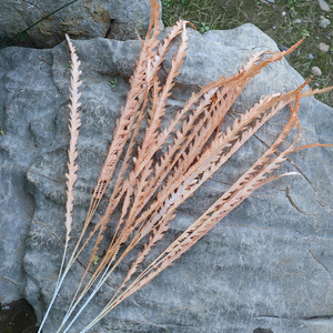 Plantes artificielles en herbe de la pampa, 1 mètre de long, décoration de mariage, fleurs séchées - Product Image 3