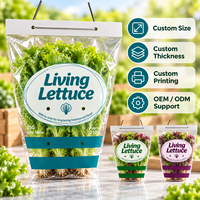 Sacs en CPP perforés de qualité alimentaire supérieure pour les acheteurs en gros de produits alimentaires et horticoles