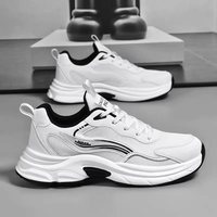 Chaussures décontractées pour hommes, respirantes, en maille, style Dad Sneakers, légères, semelle en caoutchouc plate, à lacets, pour la marche quotidienne et la rue