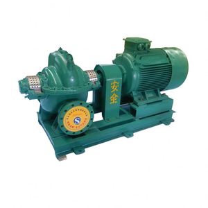 Pompe centrifuge horizontale monophasée à double aspiration à haut débit pour l'irrigation agricole et l'ingénierie de la conservation de l'eau - Product Image 4