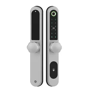 Smart Lock porta scorrevole per esterno Smart Lock con cornice in alluminio porta in vetro con serratura per impronte digitali