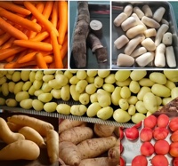 Mesin Cuci dan Kupas Kentang, Ubi, Kelapa, Buah-buahan, Efisiensi Tinggi, Mesin Drum Rol Sikat