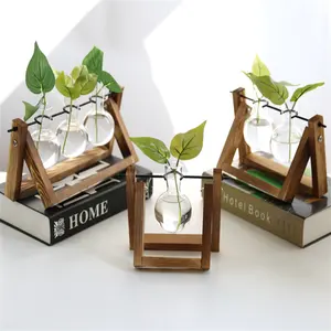 Terrario de plantas hidropónicas en vivo para interior, de escritorio, con soporte de madera marrón