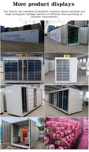 Hydroponic Shipping Container <b>for</b> Mushroom Growing Container Farming Machine - Product Image 2