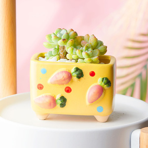 Peinture à la main en relief fruits fraise pot de fleurs succulent pot de fleurs joli motif de fruits plante Pot de fleur jardinière carrée - Product Image 4