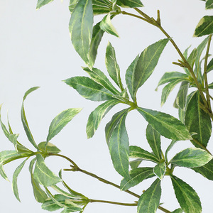 Nouvelle plante artificielle Pieris Japonica de Furu, vert foncé avec des bords blancs, fleur en soie hautement réaliste, décoration d'intérieur pour bureau - Product Image 4