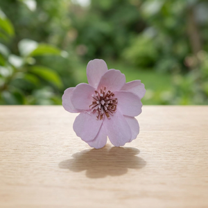 Flores Blancas de Madera Sola de 5 cm al por Mayor, Difusor de Aroma Ecológico para Interiores, Decoración del Hogar, Bodas, Eventos, San Valentín - Product Image 3