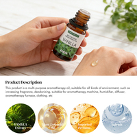 Huile essentielle de vanille sans eau pour diffuseur d'aromathérapie 10 ml